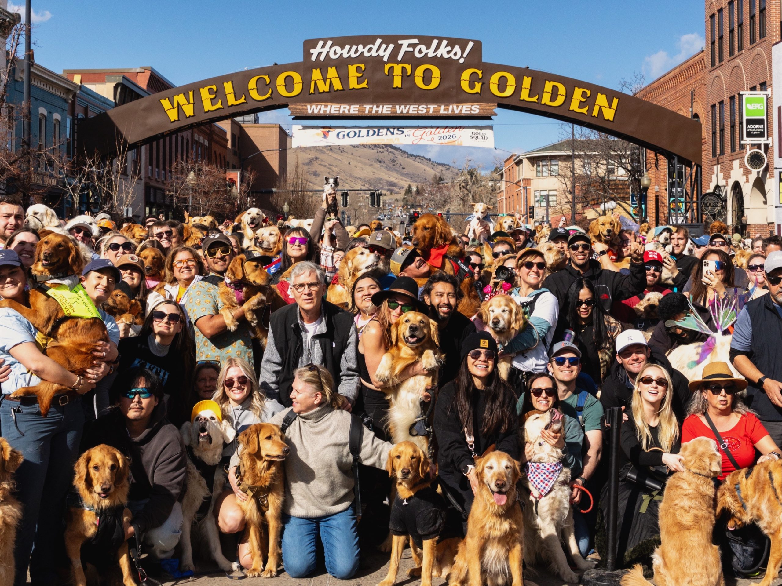 Goldens in Golden Group Vertical
