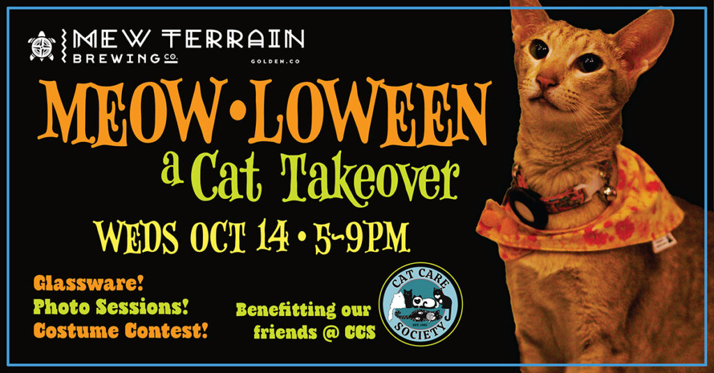 Meow-loween: A Cat Takeover