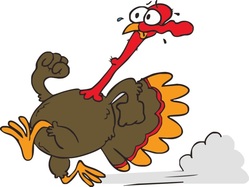 The Great Turkey Chase Runners Roost Golden Turkey Logo