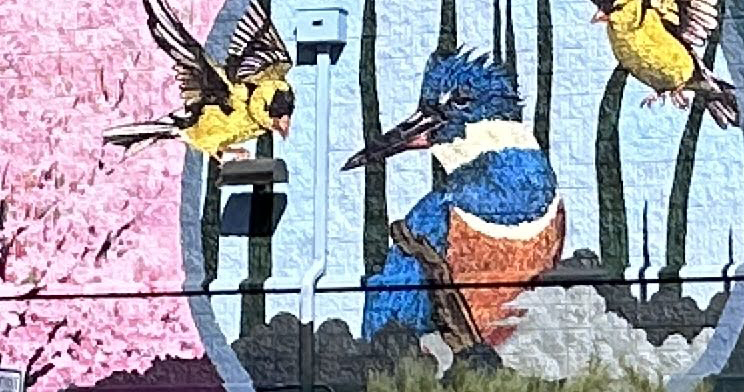 Detail of the Clouds to the Creek mural by Graham Carraway, showing a kingfisher.