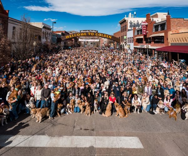 Goldens in Golden 2026 group photo. A large crowd with an equally large number of golden retrievers posing for a photo under the Welcome to Golden arch downtown.