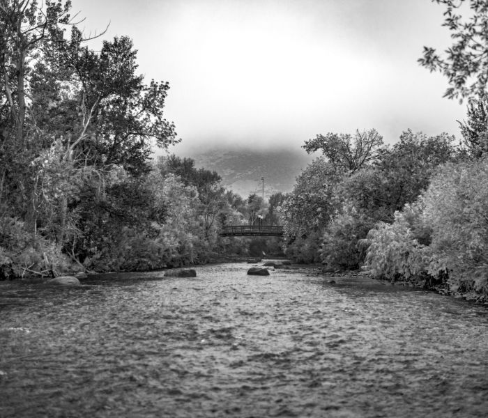 Clear Creek in winter with snow on the trees along the banks