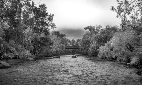 Clear Creek in winter with snow on the trees along the banks