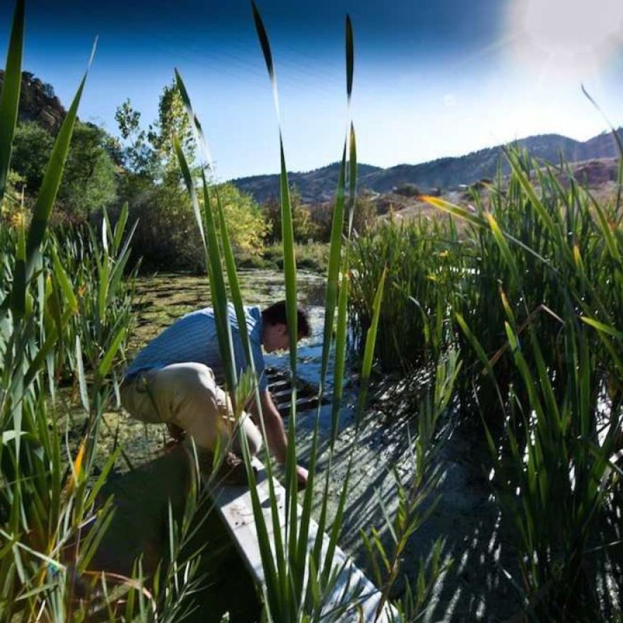 Scientist taking a water sample.