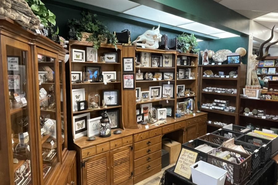 Curiosity shop displays