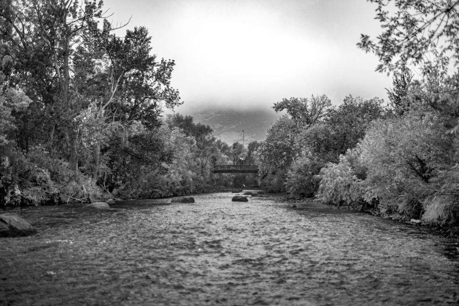 Clear Creek in winter with snow on the trees along the banks