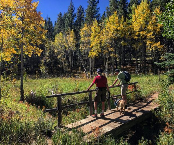 Golden Gate Canyon fall hike with dog