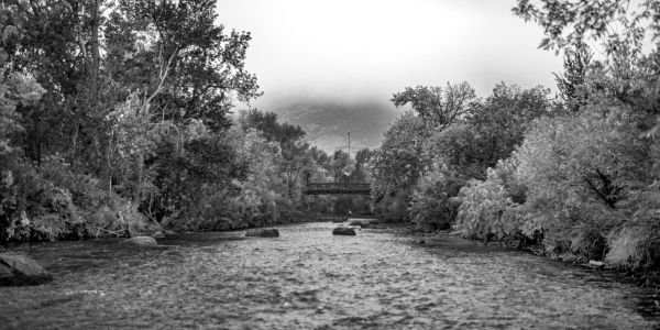 Clear Creek in winter with snow on the trees along the banks