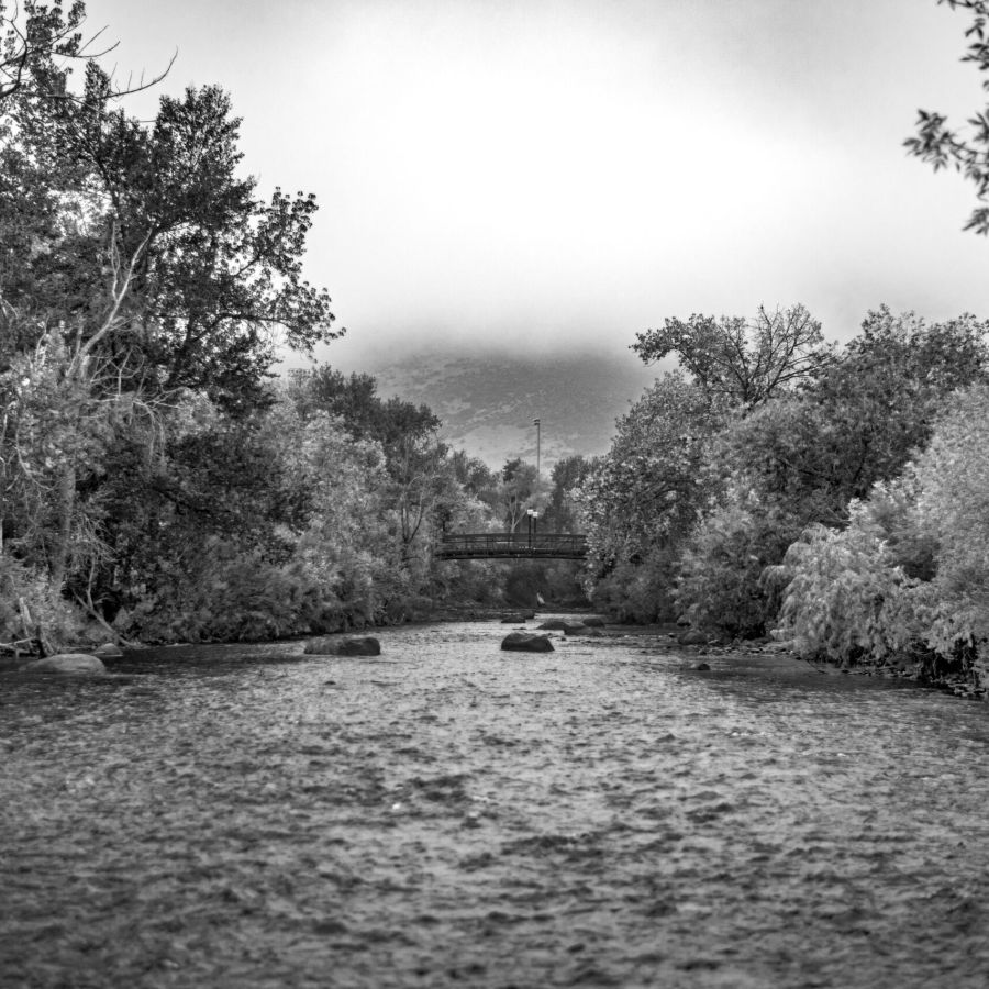 Clear Creek in winter with snow on the trees along the banks