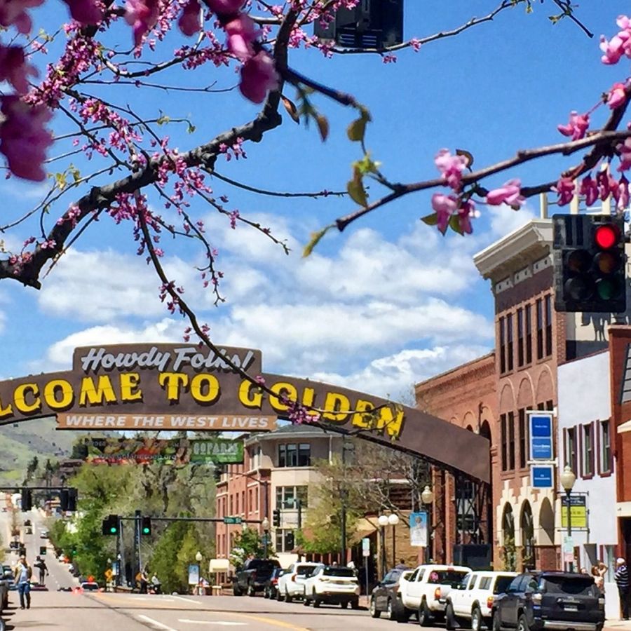 Downtown golden in the summer