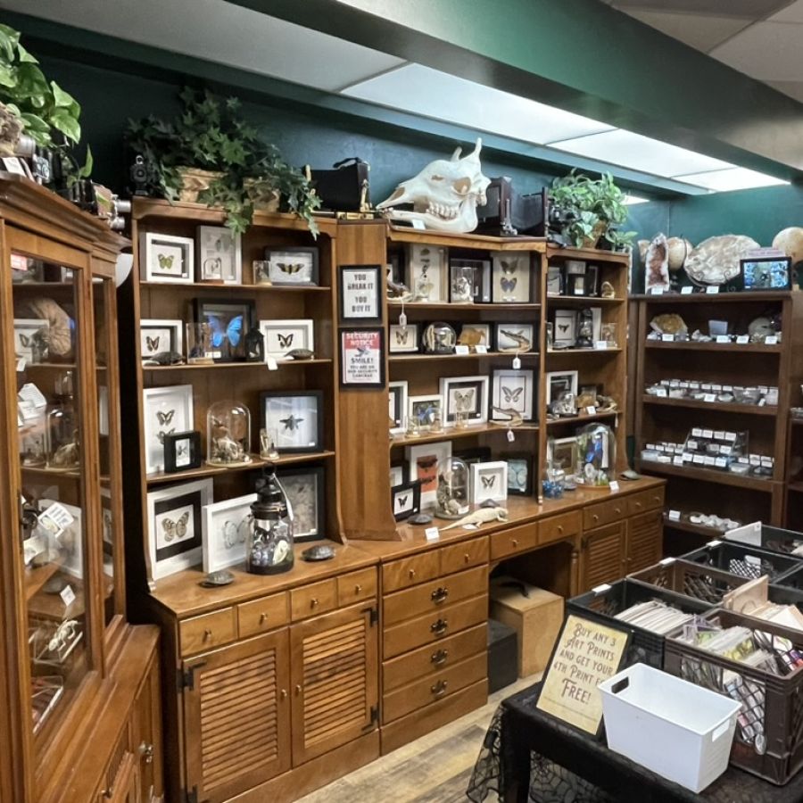 Curiosity shop displays