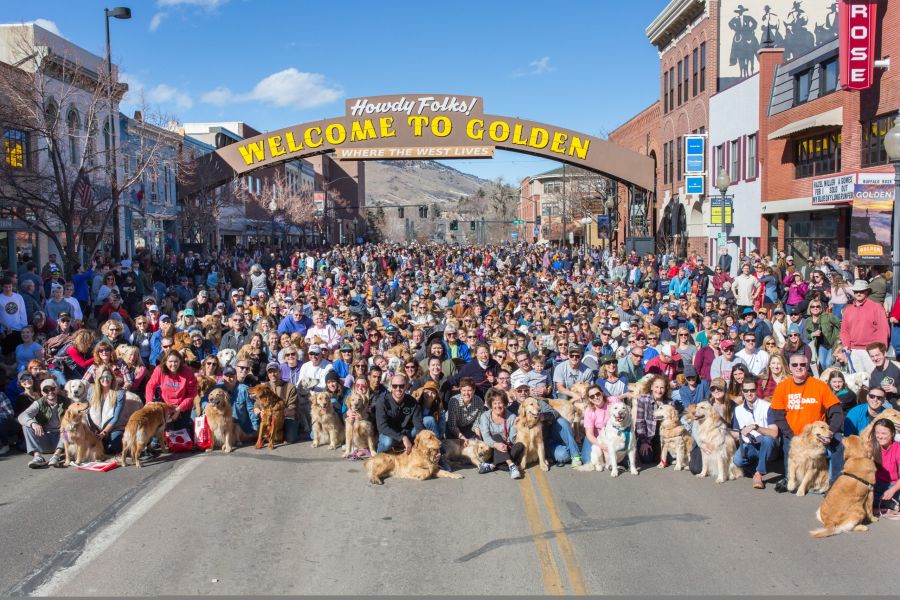 Goldens in Golden group photo in Downtown Golden, CO