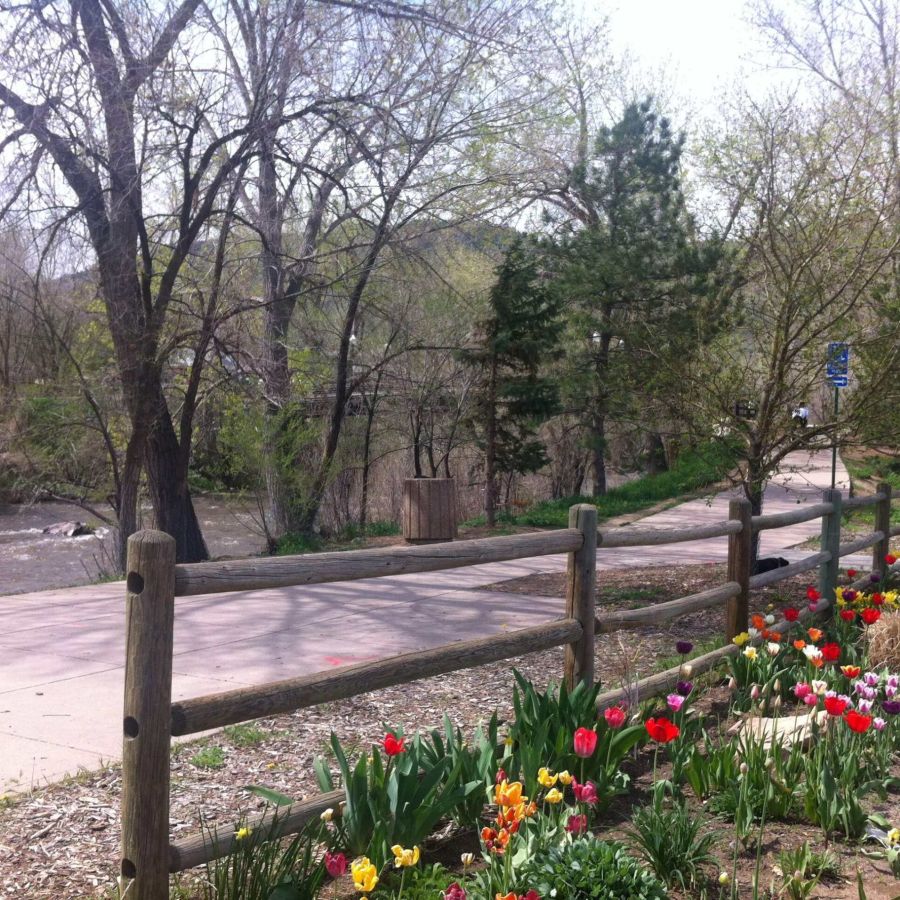 Flower beds along the clear creek trail