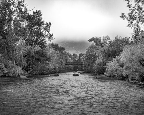 Clear Creek in winter with snow on the trees along the banks