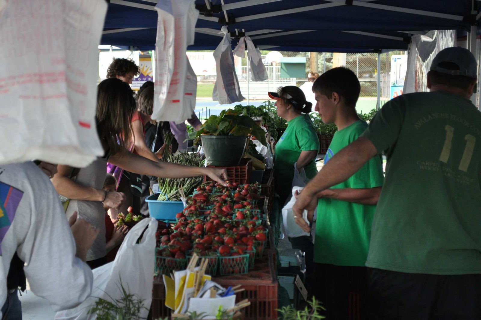 Farmers Market in Golden, CO