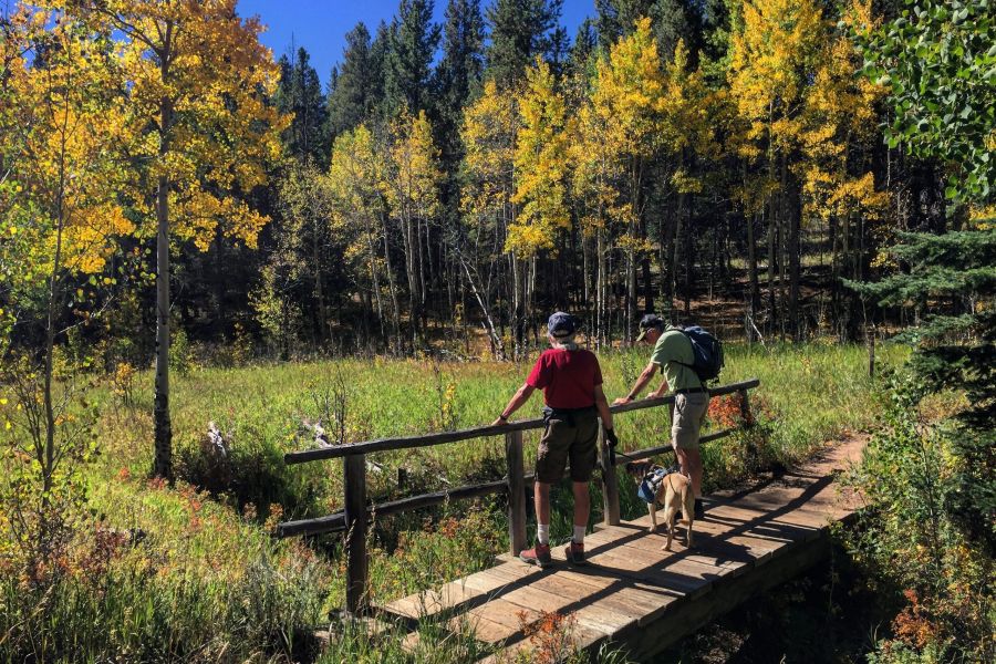 Golden Gate Canyon fall hike with dog